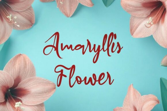 Amaryllis Flower Font: Elevate Your Brand Identity